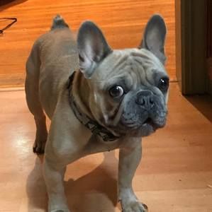 Meet your Posher, Mark